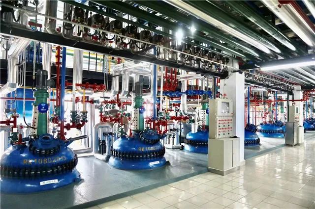 金凯生科：截至2025年12月19日股东数为14,278户