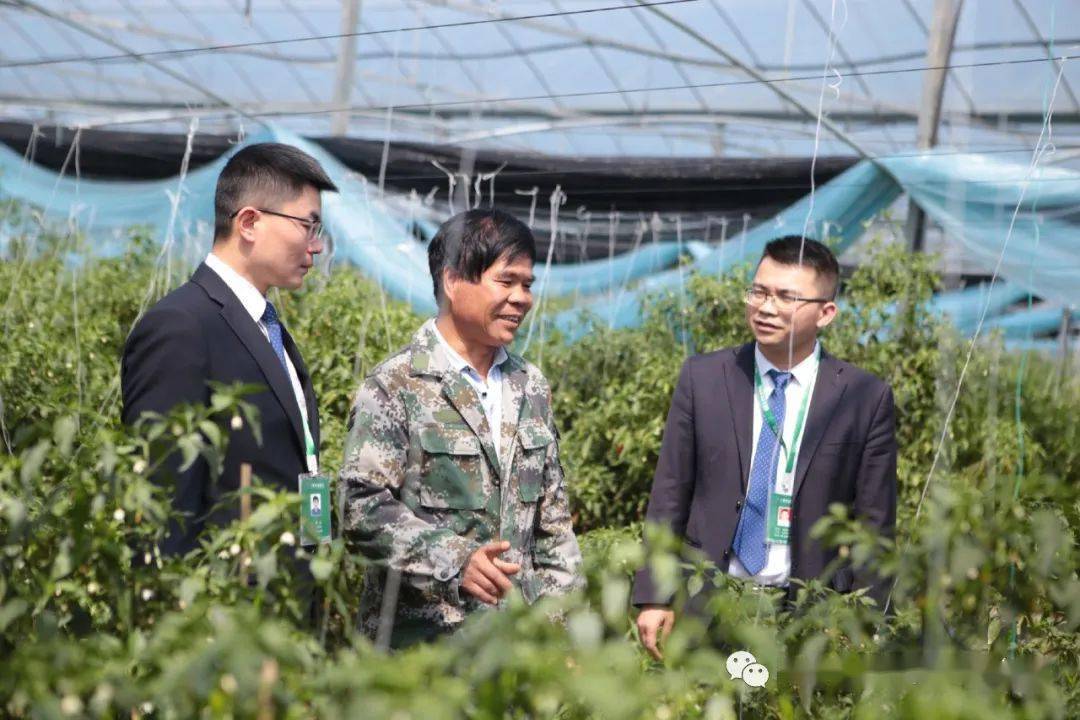 重庆上市公司并购重组交易额劲增 2025年前三季度同比增长637%