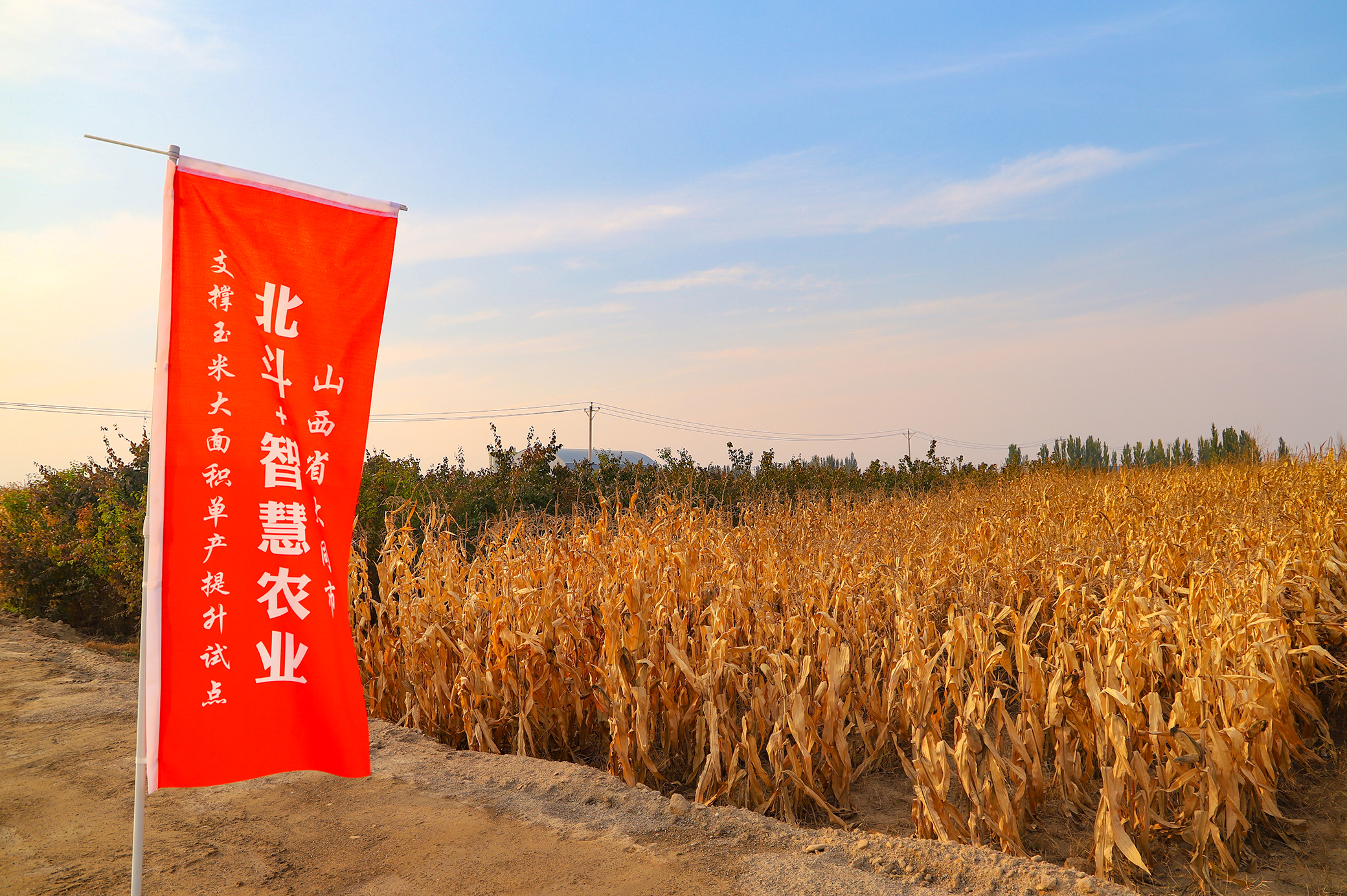 智慧农业动能强劲启新程