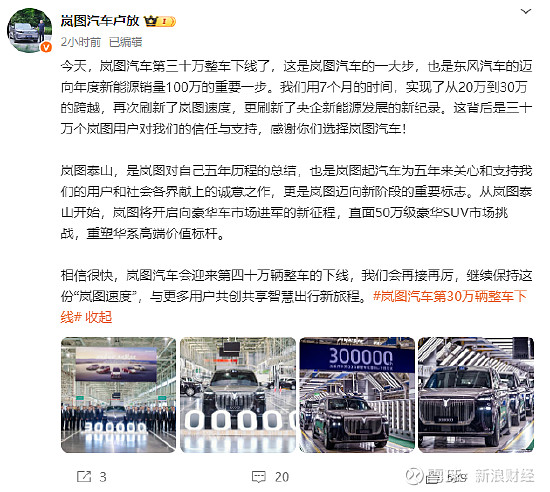 岚图汽车卢放：必须啃下豪华轿车市场这块“硬骨头”