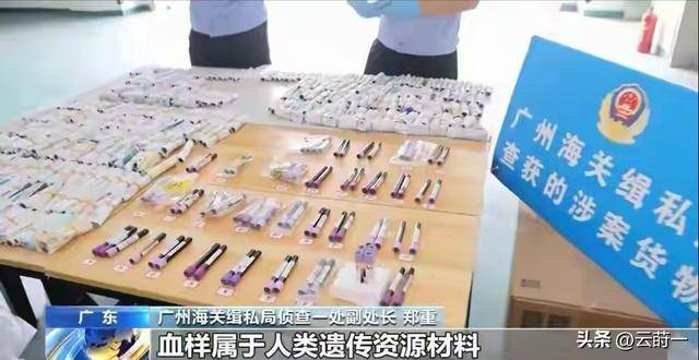 特大走私孕妇血样案涉10万人份样本，血样出境潜藏生物安全风险