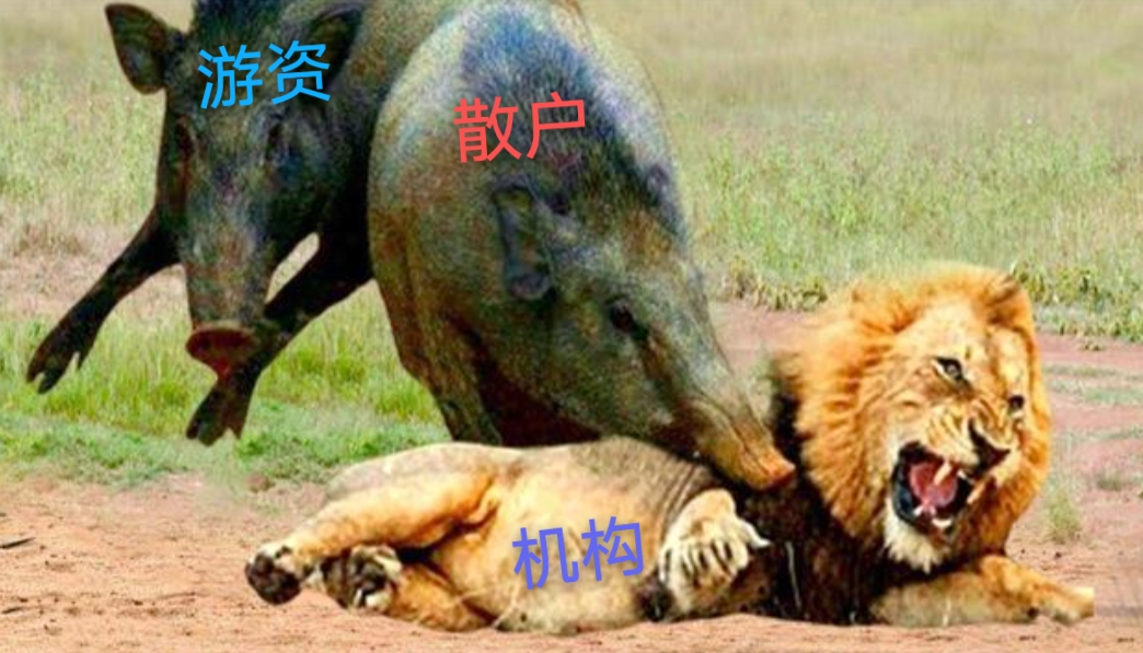 节能国祯(300388.SZ)：参股项目公司签署PPP项目终止协议