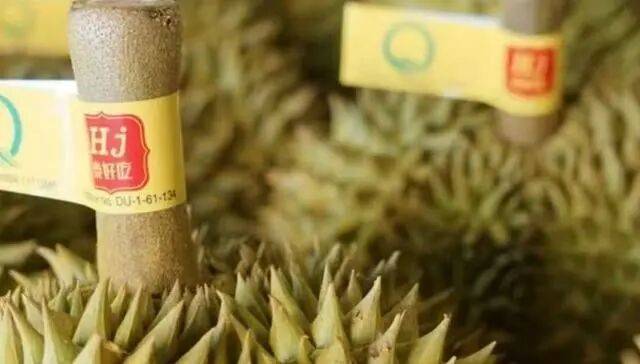 洪九果品退市启示：水果分销商死于现金流