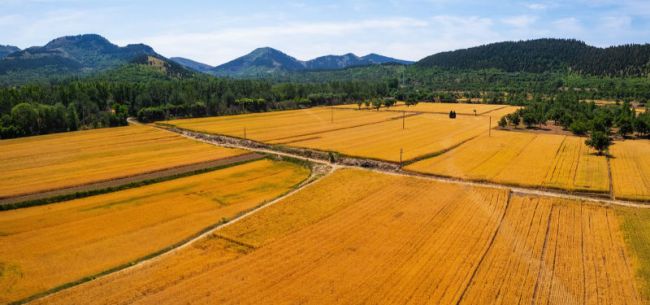 山东政商要情（12.29―1.4）