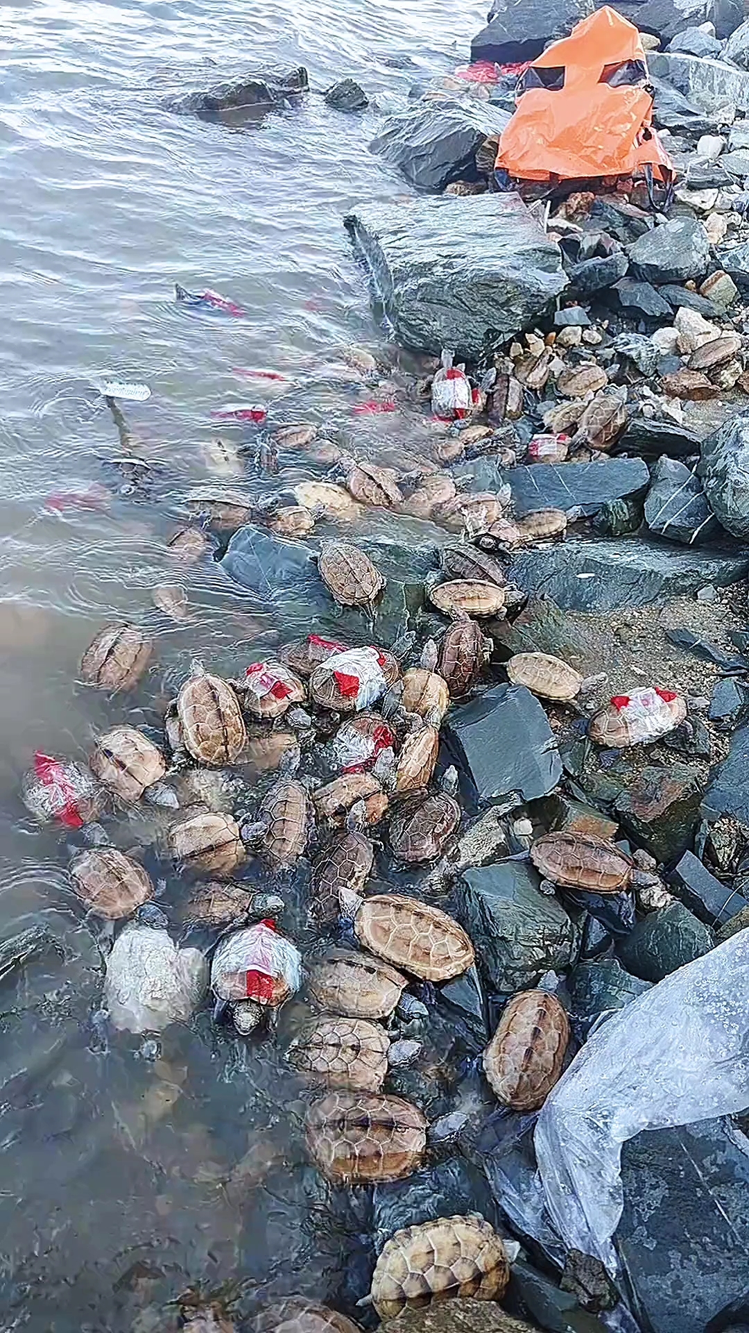 淡水泉陶冬：2026年，系好安全带，资产为王