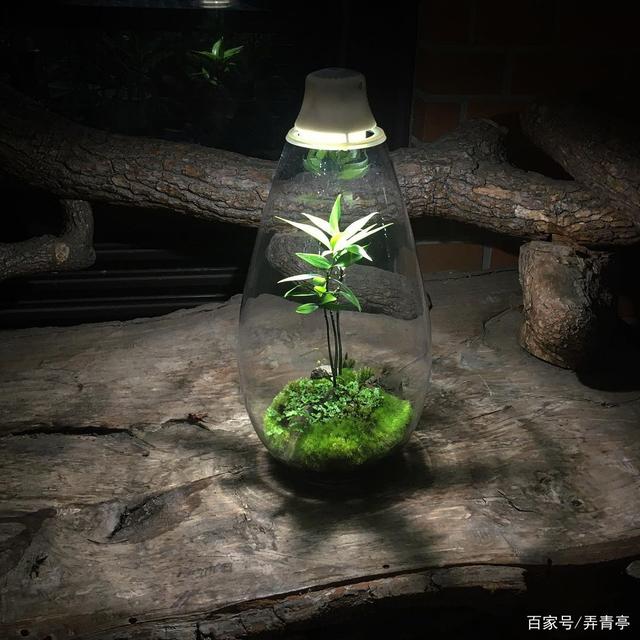 生态颠覆行业｜微观视界