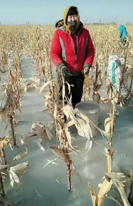 河北农民的这个冬天