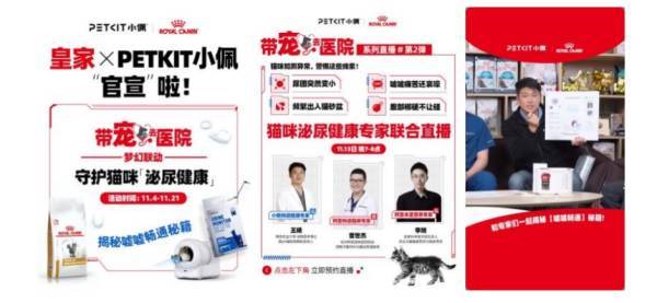 中国畜牧业协会宠物分会刘晓霞：“精致养宠”时代 宠物看病、出行为何仍是最大痛点？