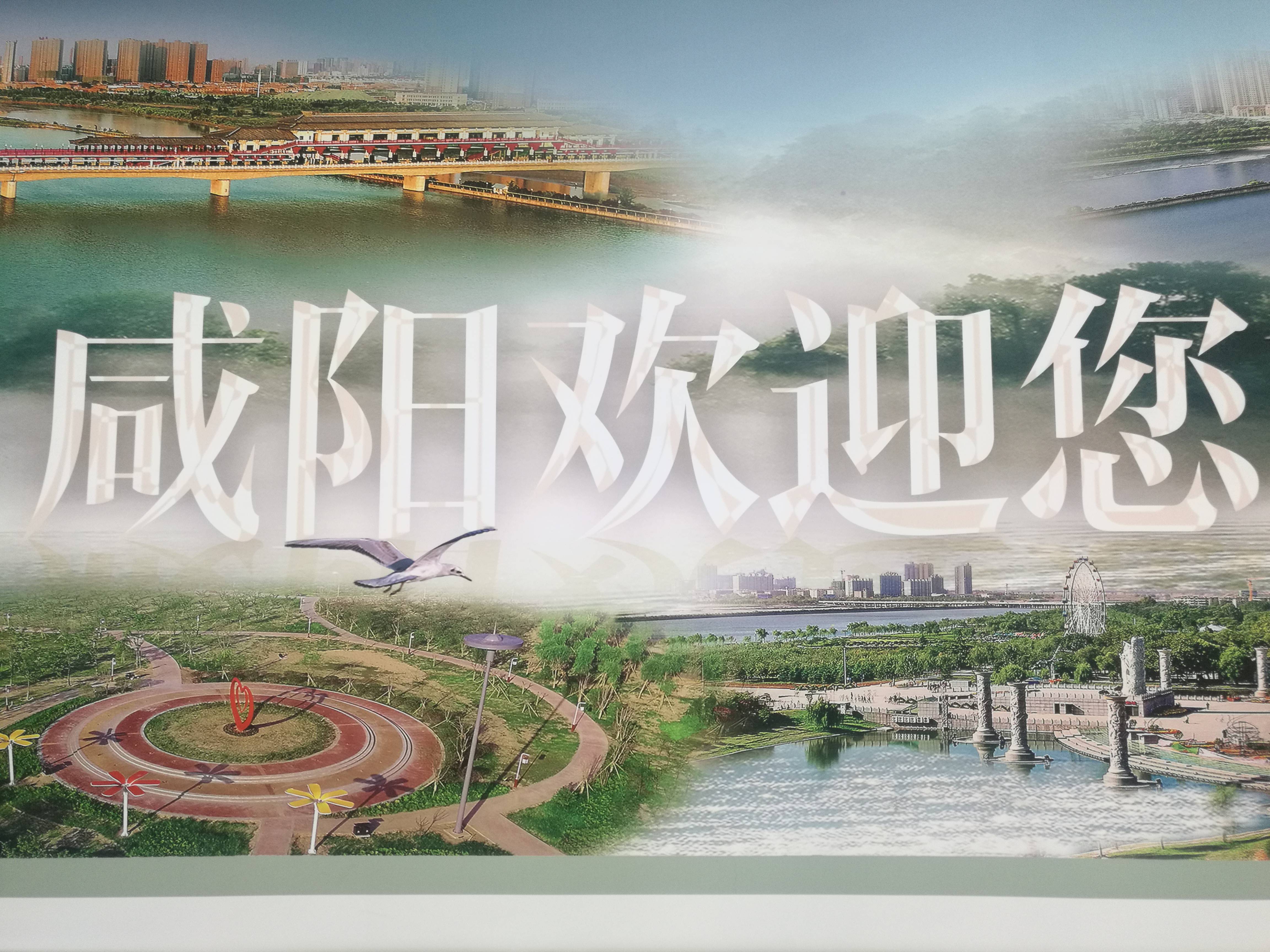 从咸阳到长安，每一步都踏在岁月深处