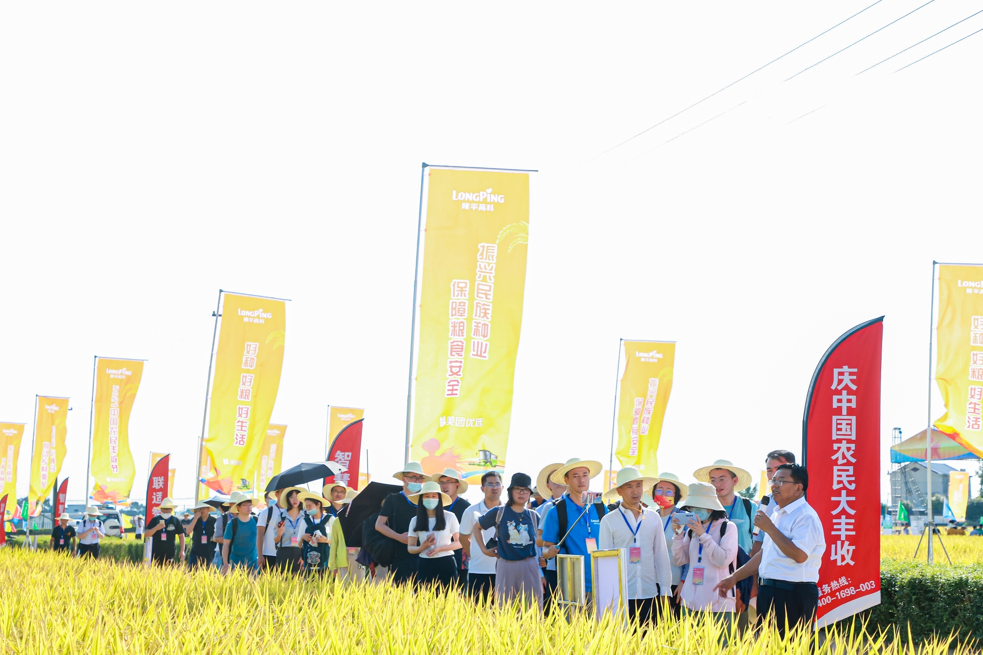 隆平高科：公司暂未启动和实施相关事项