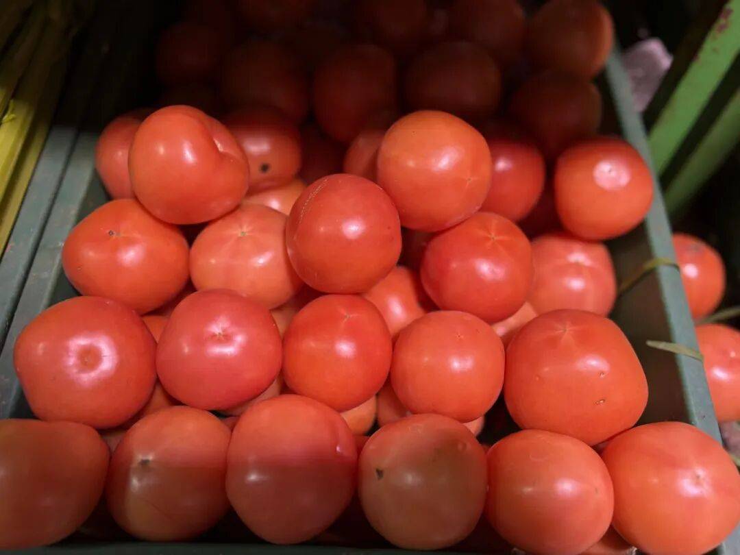 极端天气导致减产 西红柿身价同比上涨超80%