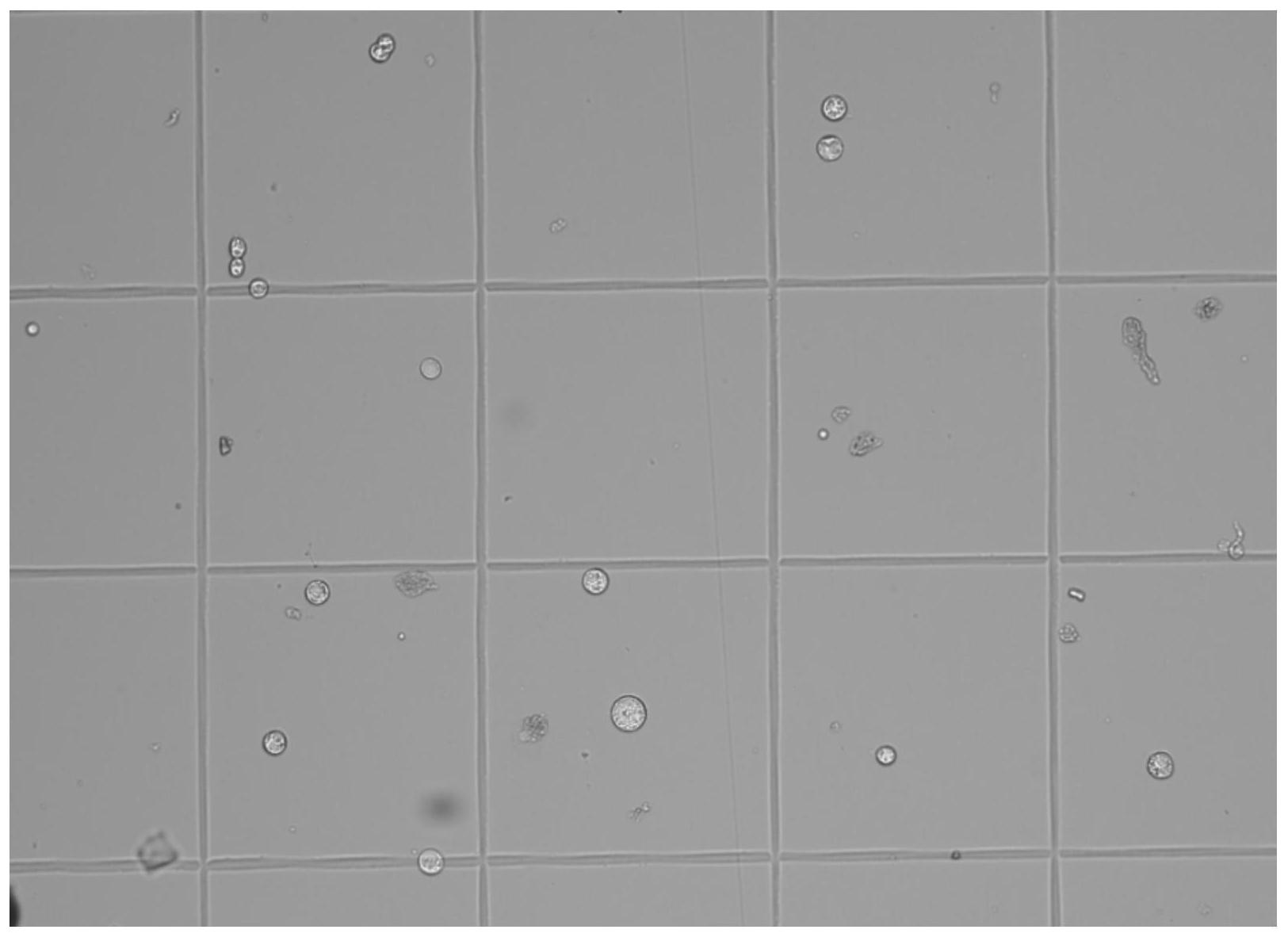 万华化学获得发明专利授权：“一种金雀花碱配体及其在制备手性β-丁内酯中的应用”