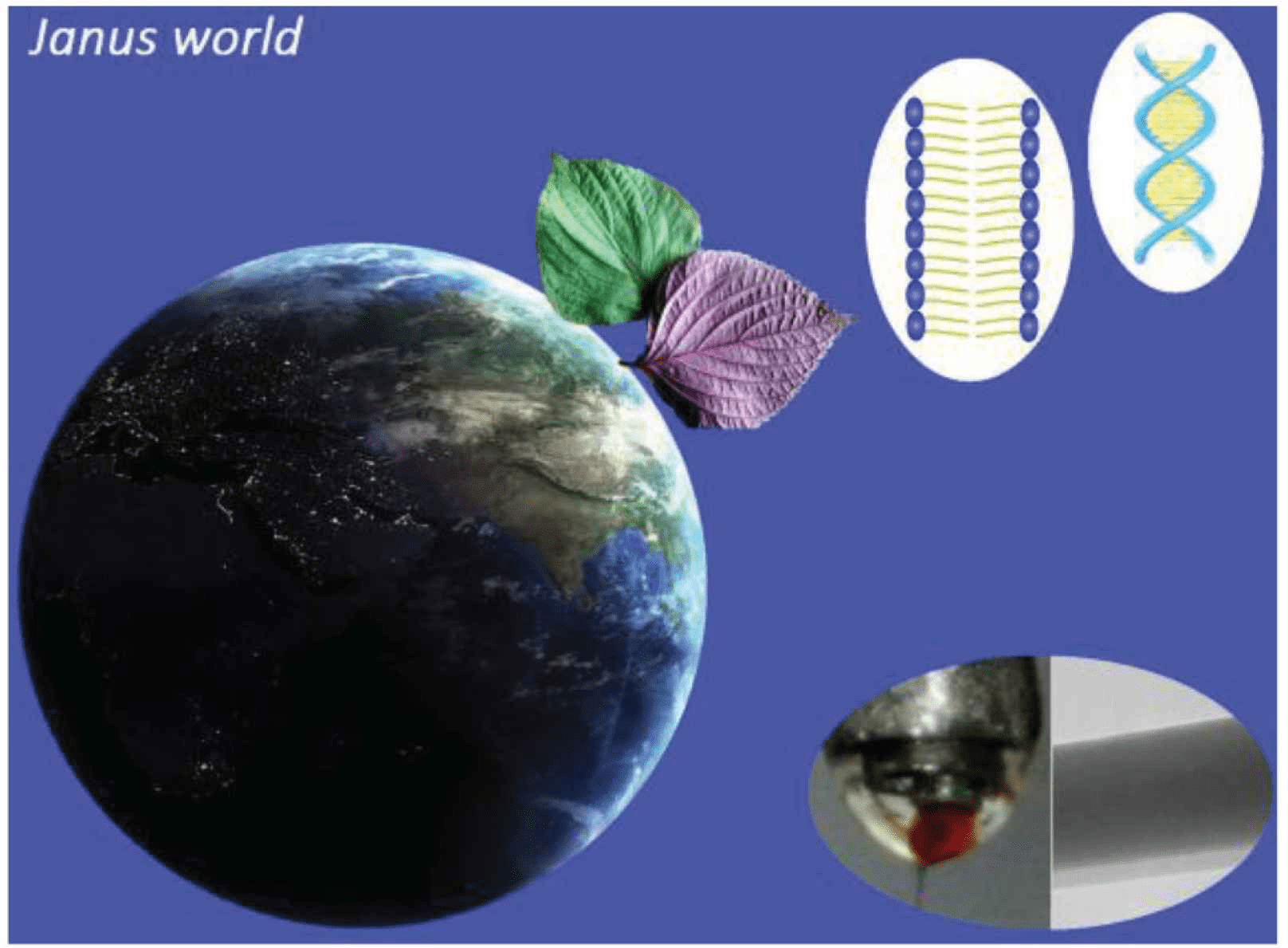 芯导科技公布国际专利申请：“一种静电防护结构及制备方法、半导体器件及制备方法”
