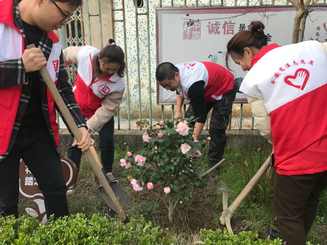 六年深耕拓蓝海，绿动乡村启新程