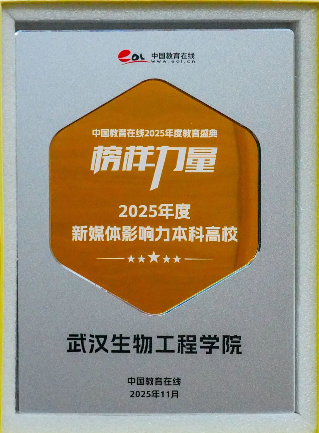 爱康斩获财经新康养“华康奖”，荣登2025年度影响力双榜单！