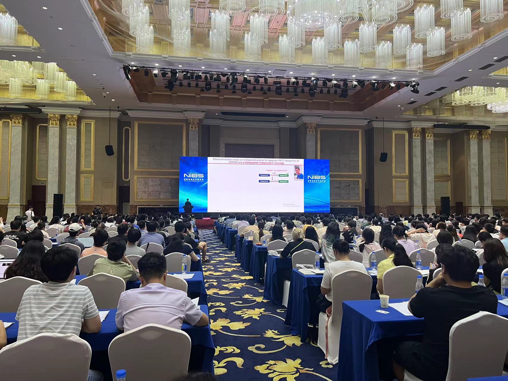 对话北生所所长王晓东:创新没什么难的,创业要交学费