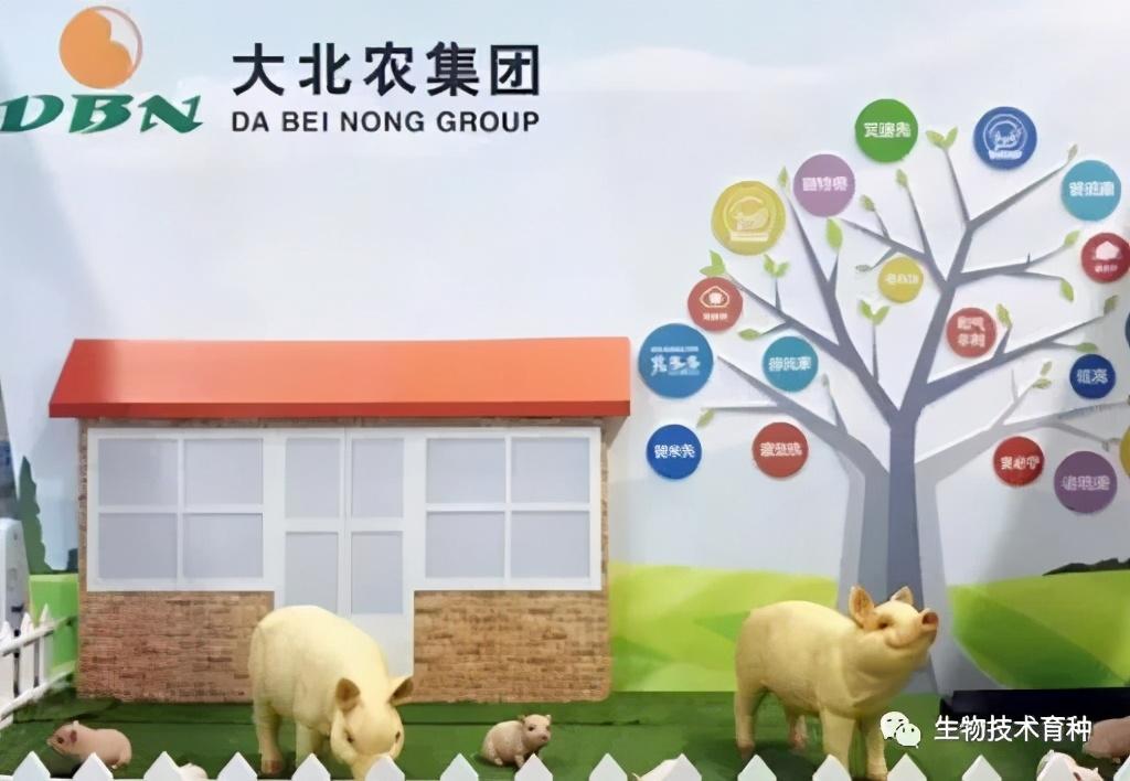 大北农获得发明专利授权：“一种与大豆蛋白质含量显著相关的分子标记及KASP检测方法和应用”