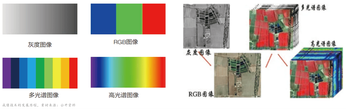 瑞丰高材合成生物业务稳步推进 右旋糖酐应用前景可期