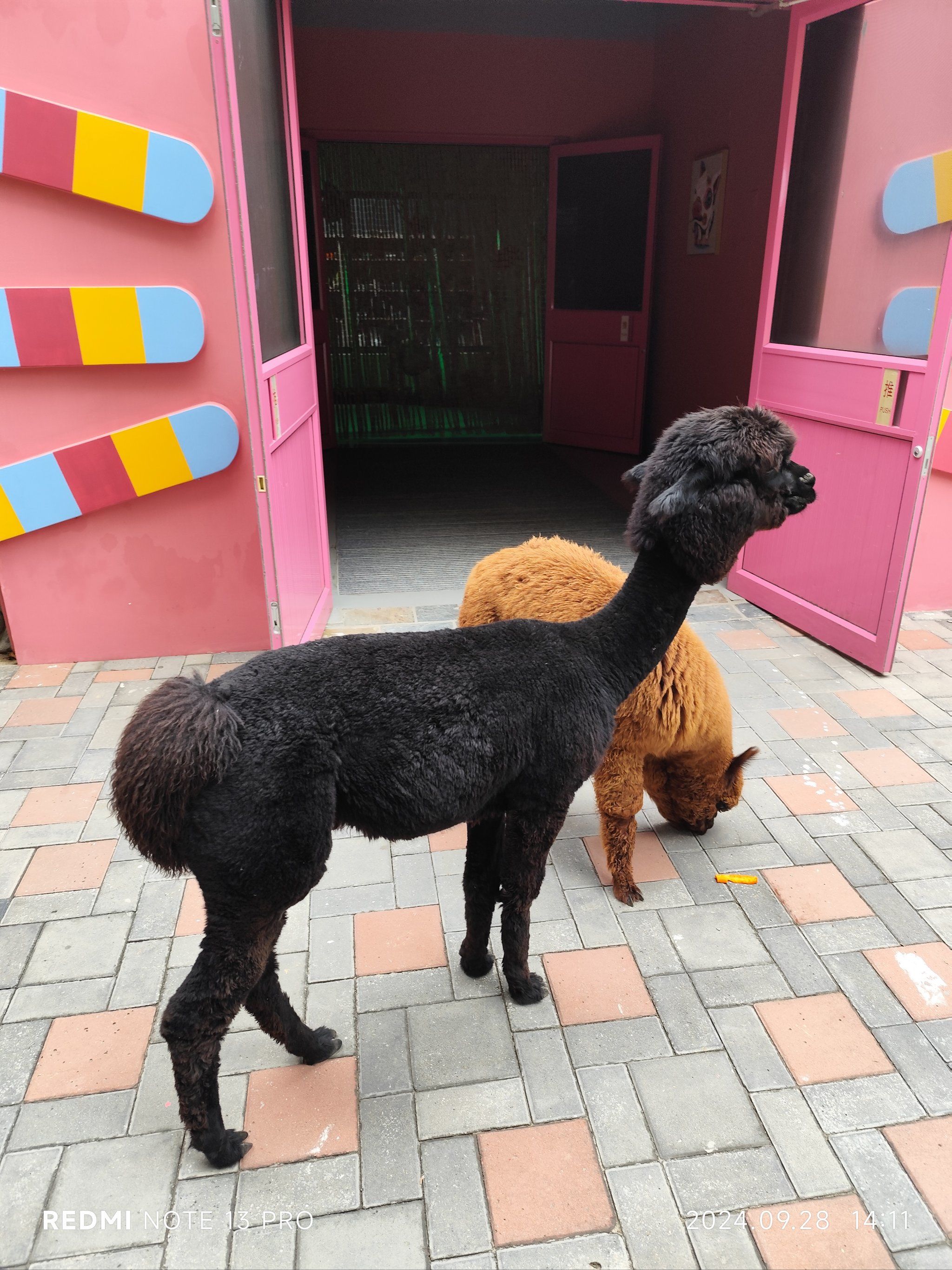 “几乎包括整个宇宙的动物园”