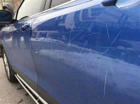 image (11).jpeg image (11).jpeg