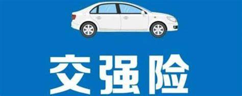 车险必买的险种有哪些？